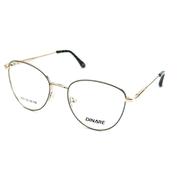 DINARE 6011