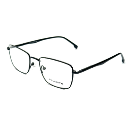 FAVORITE 2106 C1