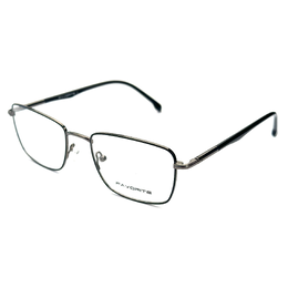 FAVORITE 2106 C2