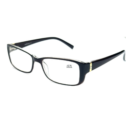 BEST VISION BV2506