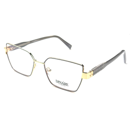DINARE 3169 C6