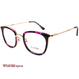 Фото 2 - LANDI TR7110