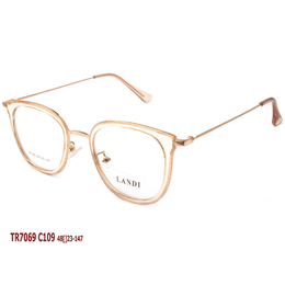 Фото 3 - LANDI TR7069