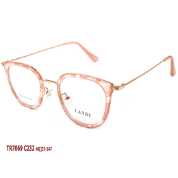 Фото 4 - LANDI TR7069