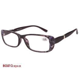 BEST VISION BV2107
