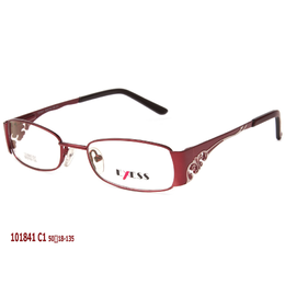 EXESS 101841