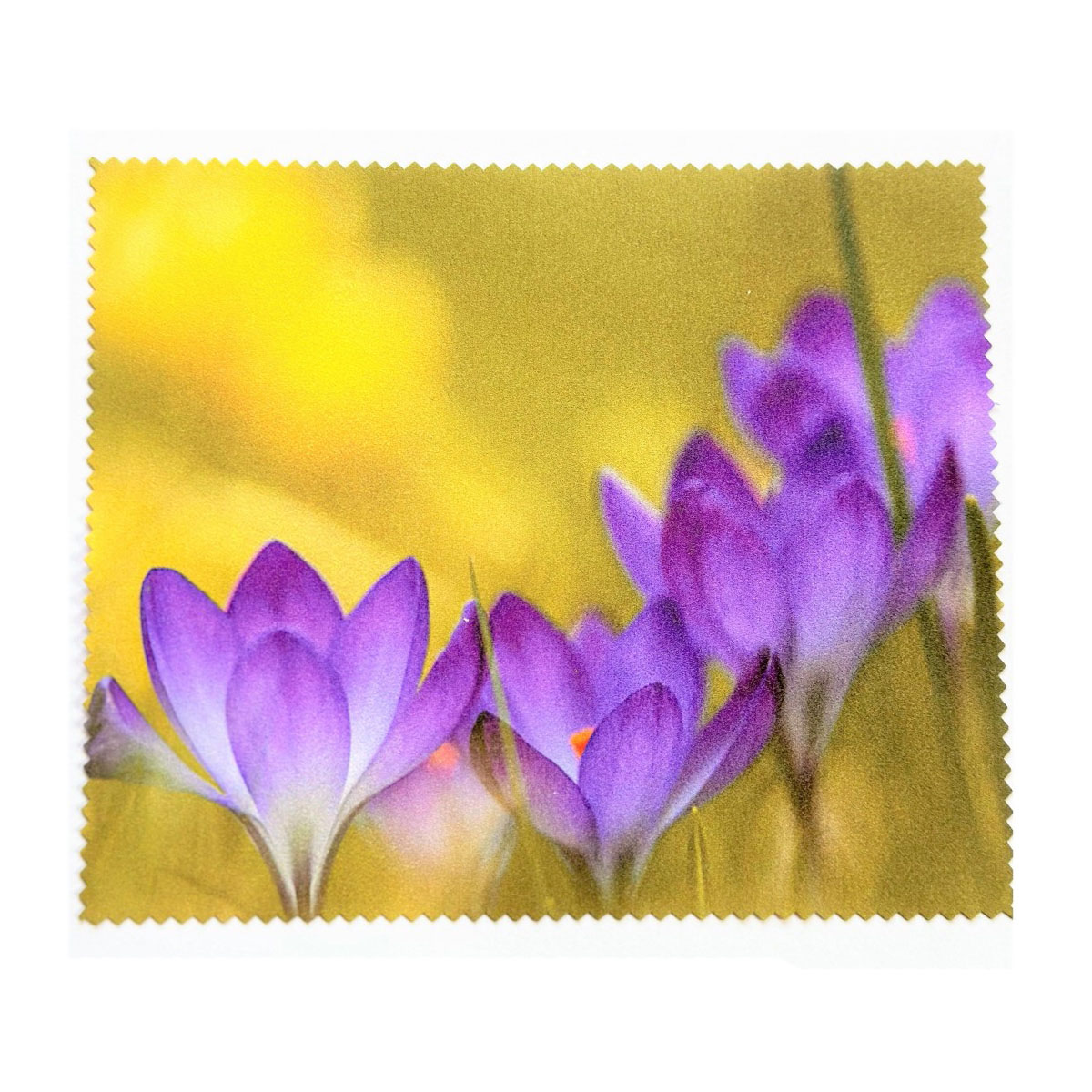 Фото 0