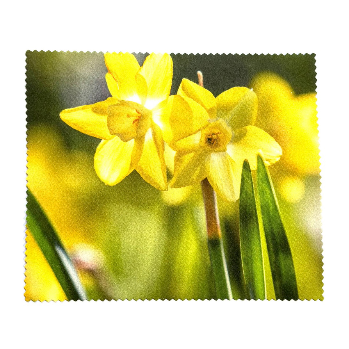 Фото 0