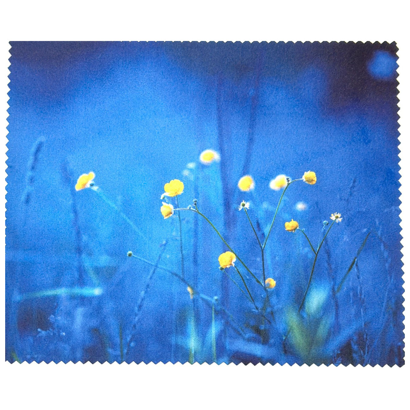 Фото 0