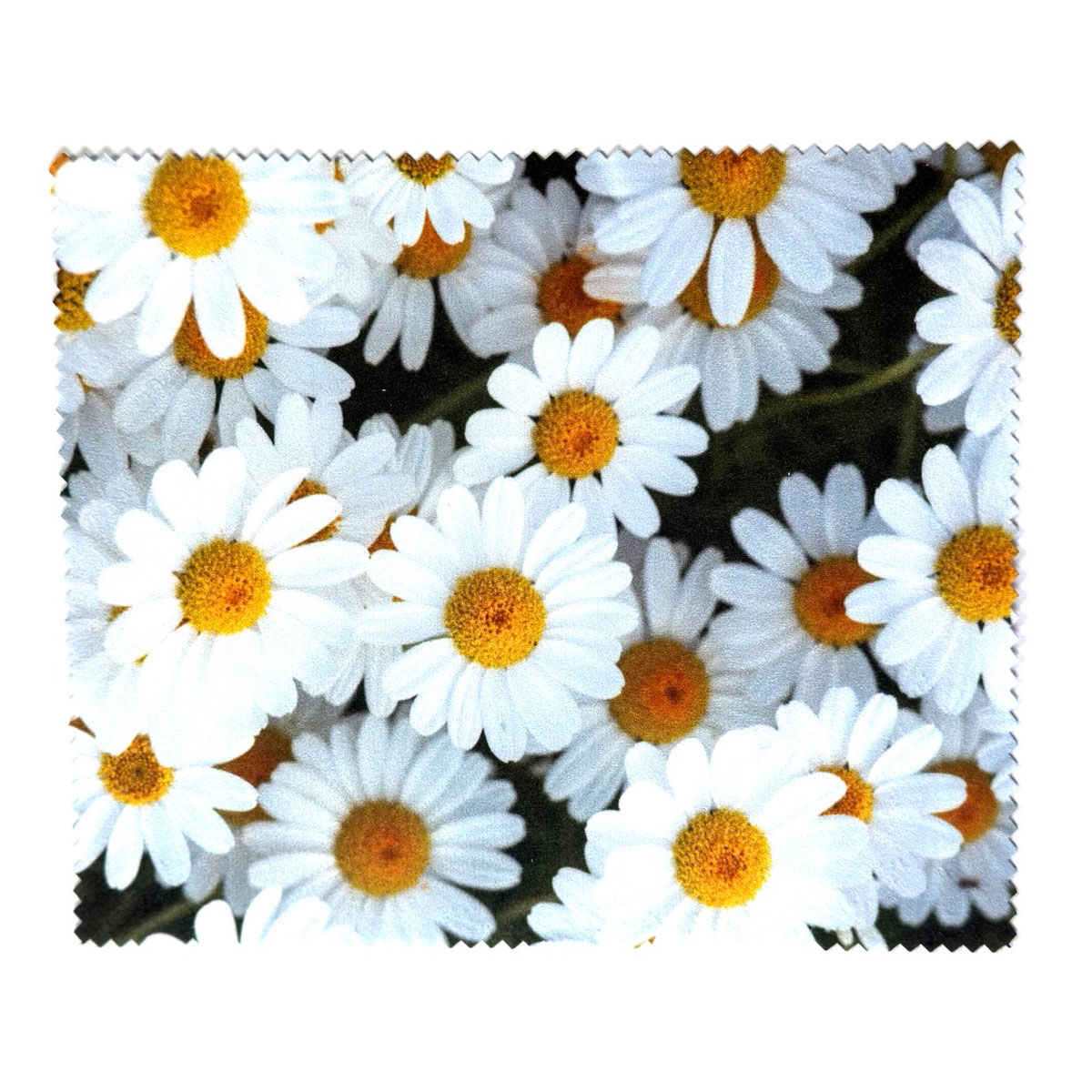 Фото 0