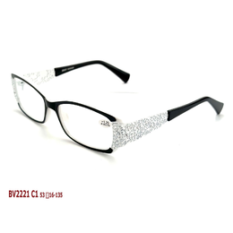 BEST VISION BV2221