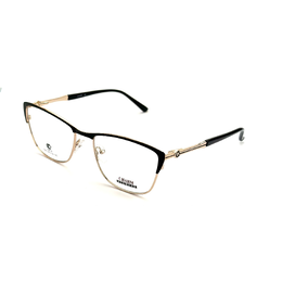 CHARM 550 c1