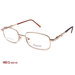 VISION V003