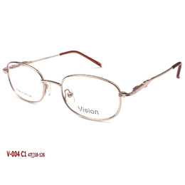 VISION V004