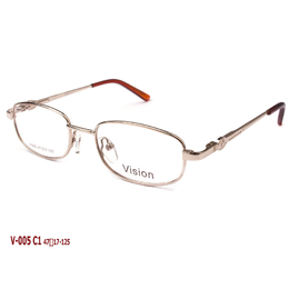 VISION V005
