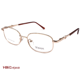 VISION V006