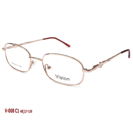VISION V008
