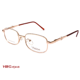 VISION V009