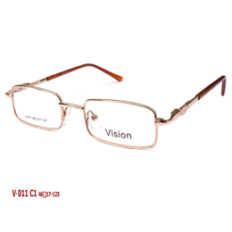 VISION V011