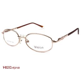 VISION V012